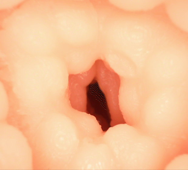 ONEPOINT/オナホール/内視鏡イメージ