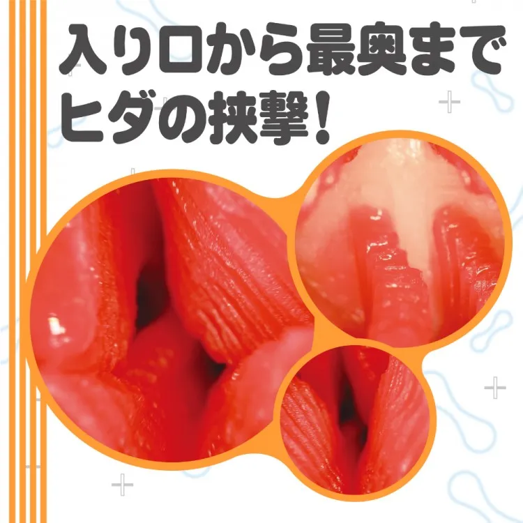 KUU-SOU 4LINE / ハンドホール・オナホ / 波打つ縦ヒダのクローズアップ。ヒダの高さ変化と外層より弾力のある段差素材の確認。ツルツル壁面との対比で縦ヒダの存在感を際立たせる4LINE内部